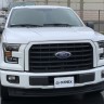 Комплект передних фар Ford F-150 15-17 PRO-Series AlphaRex 880156