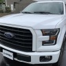 Комплект передних фар Ford F-150 15-17 PRO-Series AlphaRex 880156