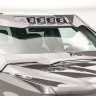 Защита лобового стекла Ford F-250/F-350 17-19 Fab Fours VC4100-1