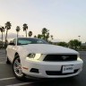 Комплект передних фар Ford Mustang 10-12 LUXX-Series AlphaRex 880118