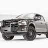 Площадка для лебедки с дугами Ford F-150 15-20 Fab Fours FF15-N3270-1