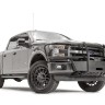 Площадка для лебедки с дугами Ford F-150 15-20 Fab Fours FF15-N3270-1