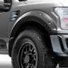 Расширители арок для Ford F-150 2018-2020 Warn 4X (102019)