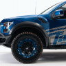 Передний бампер с центральной дугой VengeanceFord F-150 Raptor 21-22 Fab Fours FR21-D5352-1