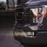 Комплект противотуманных фар Ford F150 21-23 D-Series Rigid Industries 46740