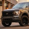 Комплект противотуманных фар Ford F150 21-23 D-Series Rigid Industries 46740