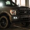 Комплект противотуманных фар Ford F150 21-23 D-Series Rigid Industries 46740