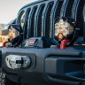 Комплект дополнительных фар на бампер Jeep Gladiator JT/Wrangler JL 18-23 LP4 Pro Baja Designs 447672UP